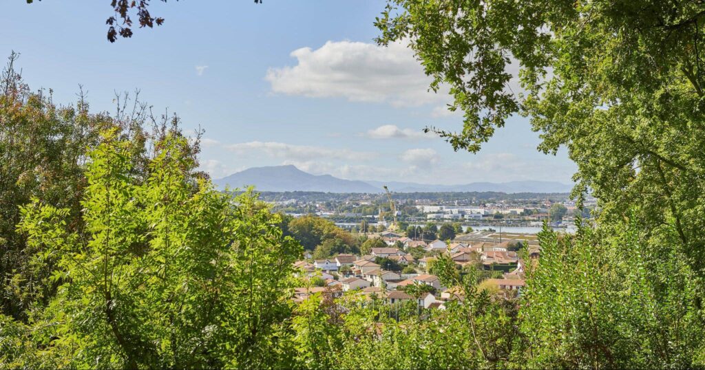 Vue de la Rhune depuis le bois Guilhou à Boucau