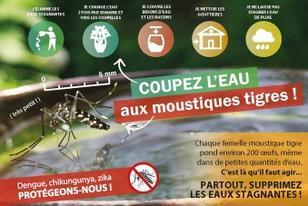 Bons gestes pour lutter contre le moustique tigre