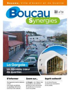 reproduction miniature Boucau Synergies n°31 Janvier 2024