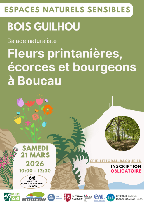 Sortie nature au Bois Guilhou par le CPIE Littoral basque