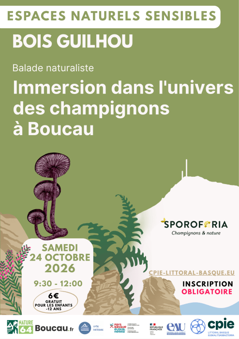 Immersion dans l&rsquo;univers des champignons au Bois Guilhou